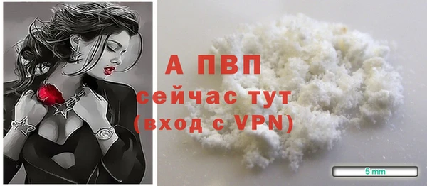 ГАЛЛЮЦИНОГЕННЫЕ ГРИБЫ Белокуриха