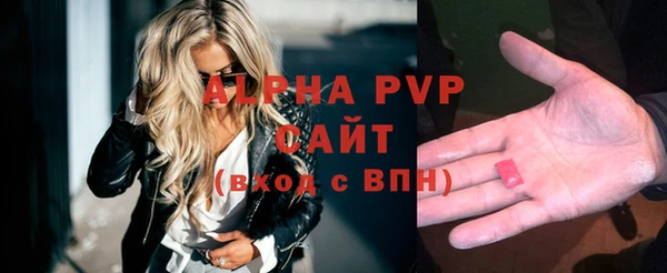 ГАЛЛЮЦИНОГЕННЫЕ ГРИБЫ Белокуриха