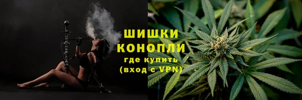ГАЛЛЮЦИНОГЕННЫЕ ГРИБЫ Белокуриха