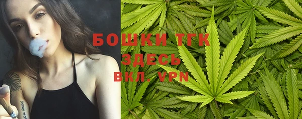 ГАЛЛЮЦИНОГЕННЫЕ ГРИБЫ Белокуриха