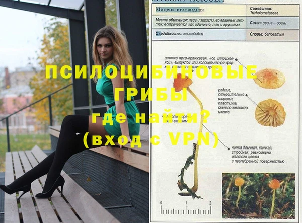 ГАЛЛЮЦИНОГЕННЫЕ ГРИБЫ Белокуриха